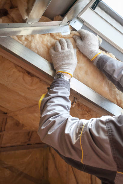 Best Insulation Air Sealing  in Euclid, OH